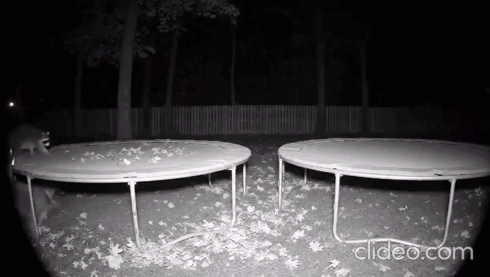 daily gifdump 46 gifs 3.html - 1 HD GIF | Premium Gallery 2026