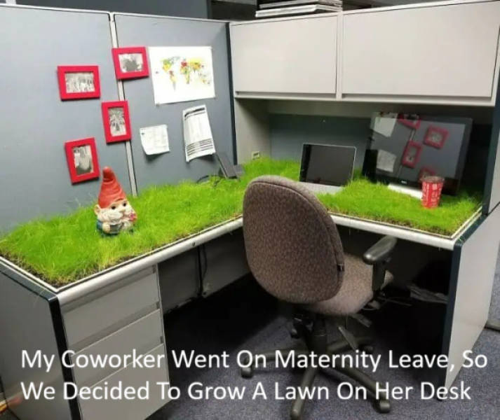 daily picdump 41 pics 3.html - 41 HD Photos | Premium Gallery 2026