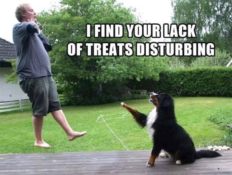 daily picdump 41 pics 3.html - 41 HD Photos | Premium Gallery 2026