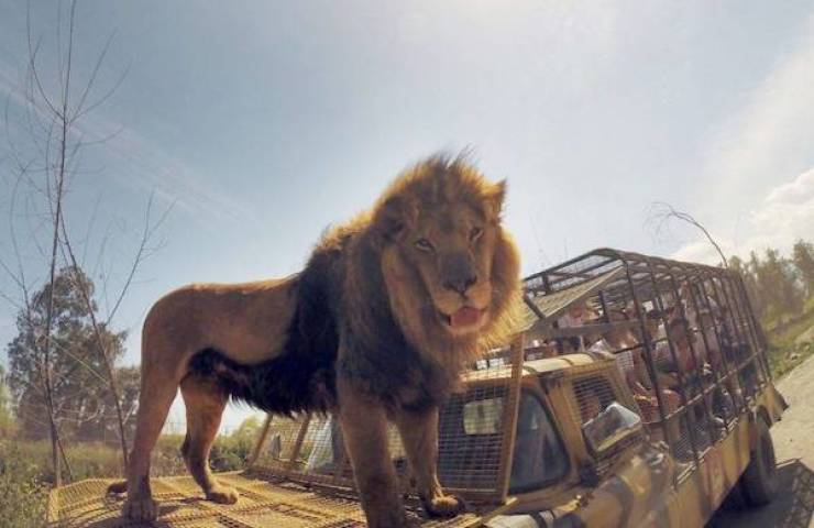 daily picdump 41 pics 3.html - 41 HD Photos | Premium Gallery 2026