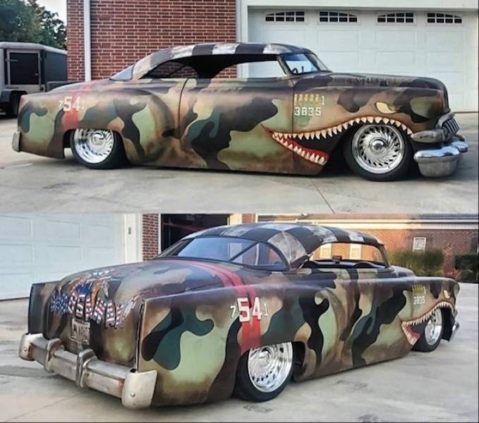 daily picdump 41 pics 3.html - 41 HD Photos | Premium Gallery 2026