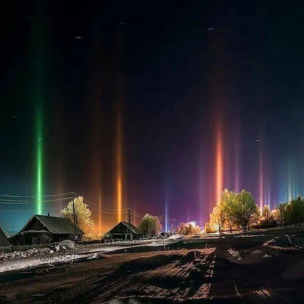 daily picdump 41 pics 3.html - 41 HD Photos | Premium Gallery 2026