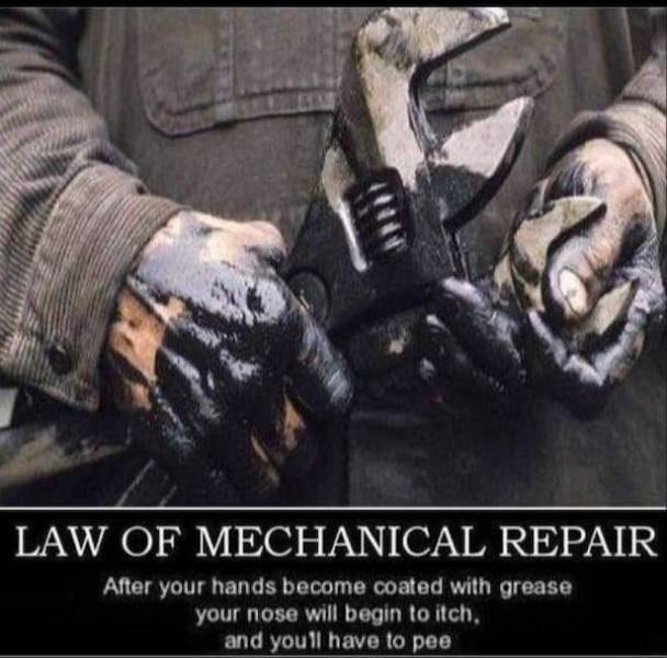 heres your meme therapy 33 pics 14.html - 33 HD Photos | Premium Gallery 2026