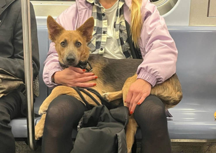 Public Transit Is a Different Universe