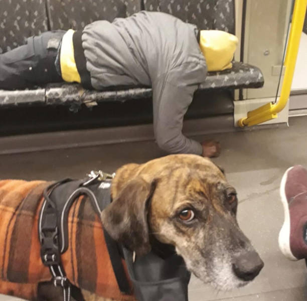 public transit is a different universe 41 pics 4.html - 41 HD Photos | Premium Gallery 2026