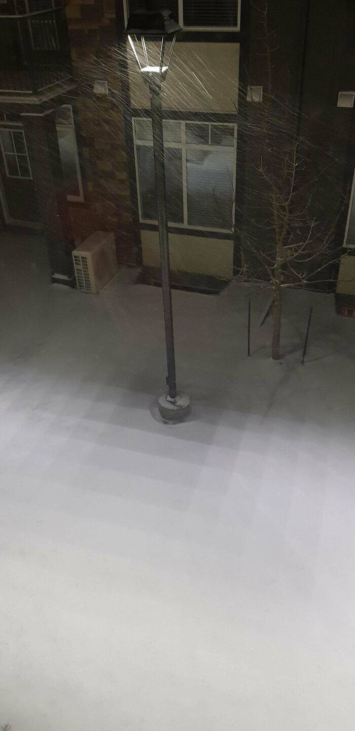 Real-Life Moments That Looked Like a Matrix Glitch