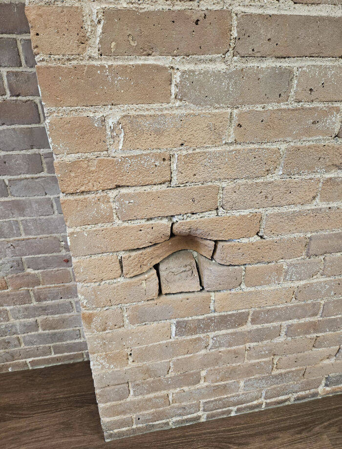 reallife moments that looked like a matrix glitch 56 pics 2.html - 56 HD Photos | Premium Gallery 2026