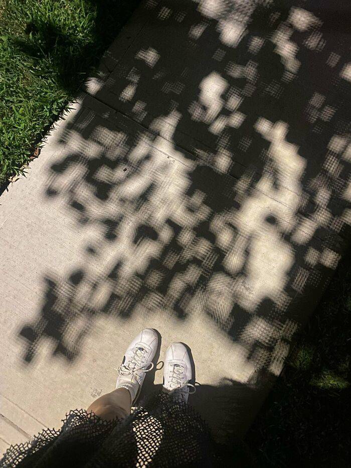 reallife moments that looked like a matrix glitch 56 pics 2.html - 56 HD Photos | Premium Gallery 2026