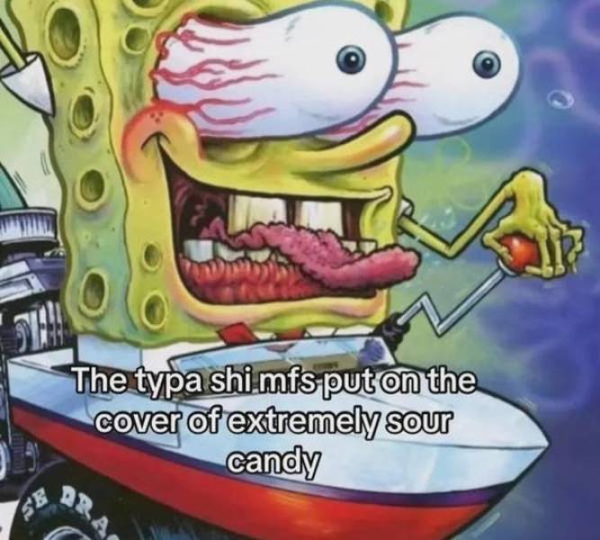 the funniest dumb pics on the internet 33 pics 5.html - 33 HD Photos | Premium Gallery 2026