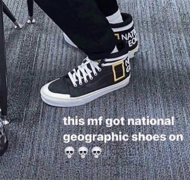 the funniest dumb pics on the internet 33 pics 5.html - 33 HD Photos | Premium Gallery 2026