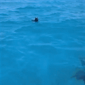 daily gifdump 45 gifs 7.html - 1 HD GIF | Premium Gallery 2026