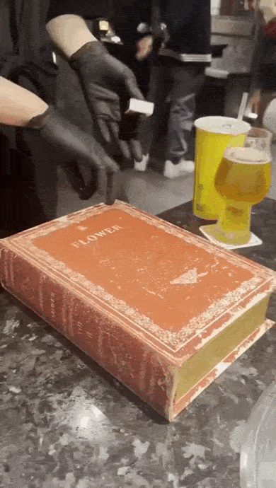 daily gifdump 45 gifs 7.html - 1 HD GIF | Premium Gallery 2026