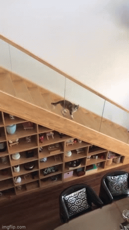 daily gifdump 45 gifs 7.html - 1 HD GIF | Premium Gallery 2026