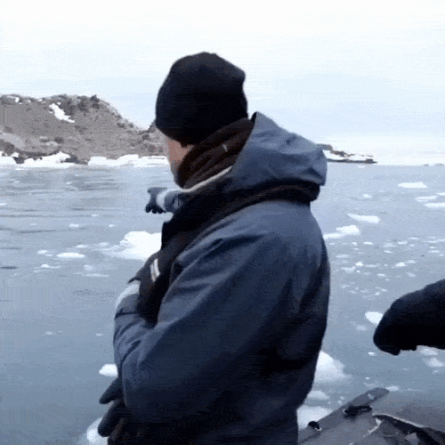 daily gifdump 45 gifs 7.html - 1 HD GIF | Premium Gallery 2026