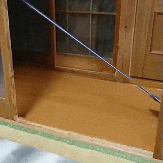 daily gifdump 45 gifs 7.html - 1 HD GIF | Premium Gallery 2026