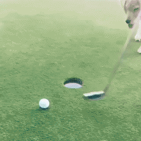 daily gifdump 45 gifs 7.html - 1 HD GIF | Premium Gallery 2026