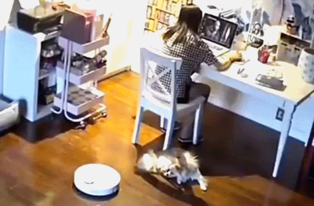 daily gifdump 45 gifs 7.html - 1 HD GIF | Premium Gallery 2026