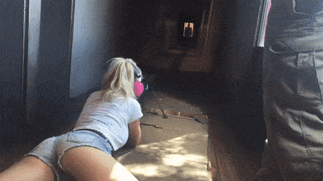 fun with guns 17 gifs 2.html - 1 HD GIF | Premium Gallery 2026