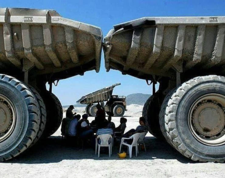 daily picdump 40 pics 8.html - 40 HD Photos | Premium Gallery 2026