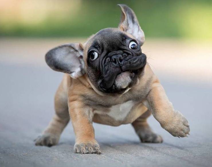 daily picdump 40 pics 8.html - 40 HD Photos | Premium Gallery 2026