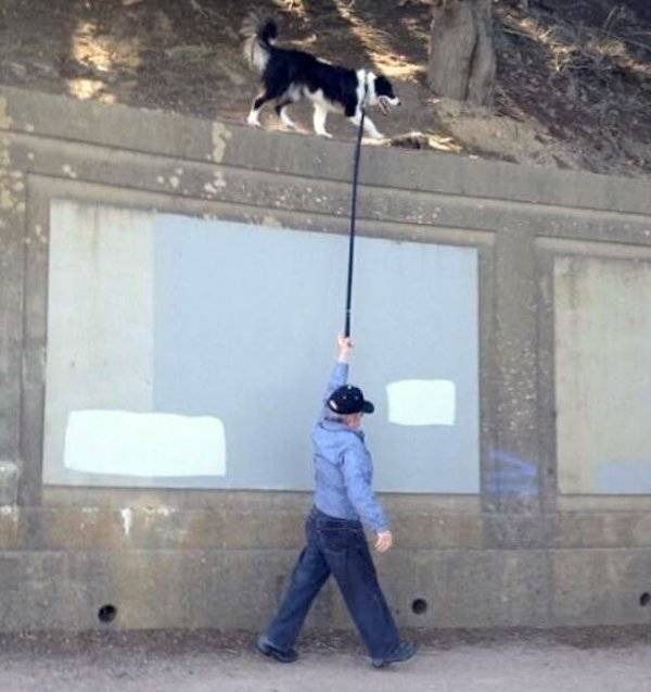 daily picdump 40 pics 8.html - 40 HD Photos | Premium Gallery 2026