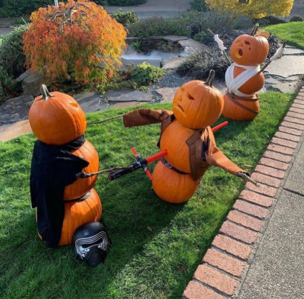 peak nerd energy 47 pics 11.html - 47 HD Photos | Premium Gallery 2026