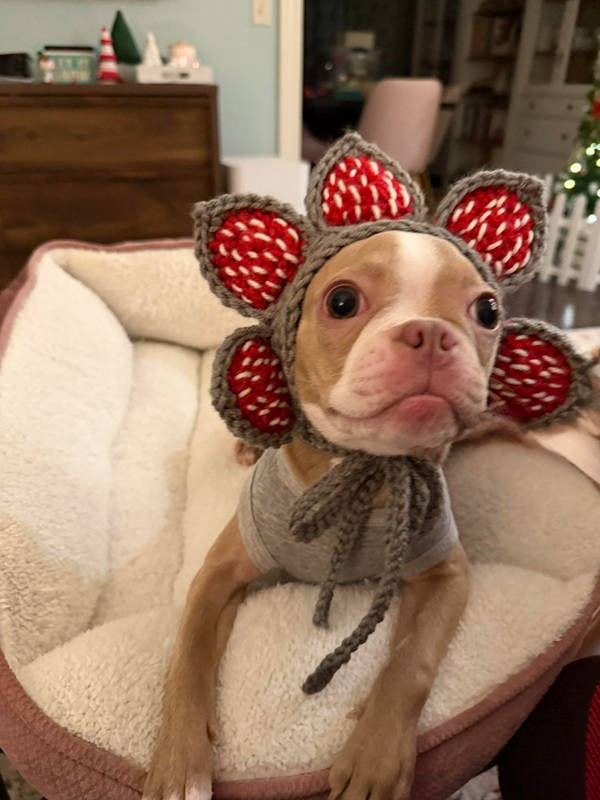 peak nerd energy 47 pics 11.html - 47 HD Photos | Premium Gallery 2026