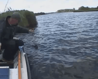 daily gifdump 43 gifs 3.html - 1 HD GIF | Premium Gallery 2026