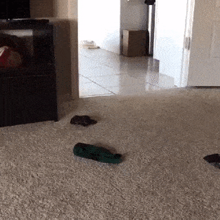 daily gifdump 43 gifs 3.html - 1 HD GIF | Premium Gallery 2026