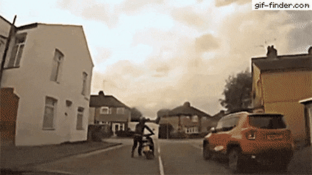 daily gifdump 43 gifs 3.html - 1 HD GIF | Premium Gallery 2026