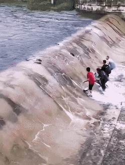 daily gifdump 43 gifs 3.html - 1 HD GIF | Premium Gallery 2026