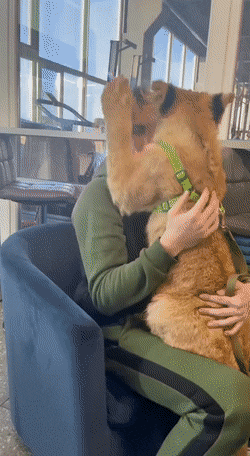 daily gifdump 43 gifs 3.html - 1 HD GIF | Premium Gallery 2026