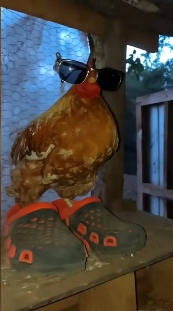 being weird is a superpower 30 pics 5.html - 30 HD Photos | Premium Gallery 2026