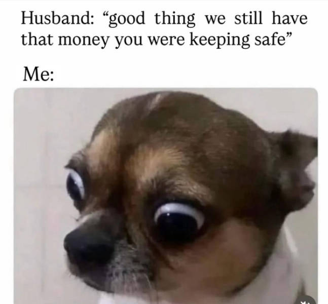 certified dank memes you need right now 38 pics 9.html - 38 HD Photos | Premium Gallery 2026