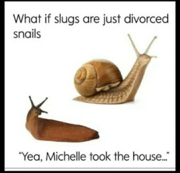 certified dank memes you need right now 38 pics 9.html - 38 HD Photos | Premium Gallery 2026