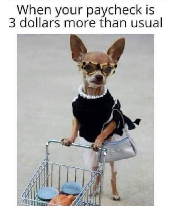 certified dank memes you need right now 38 pics 9.html - 38 HD Photos | Premium Gallery 2026