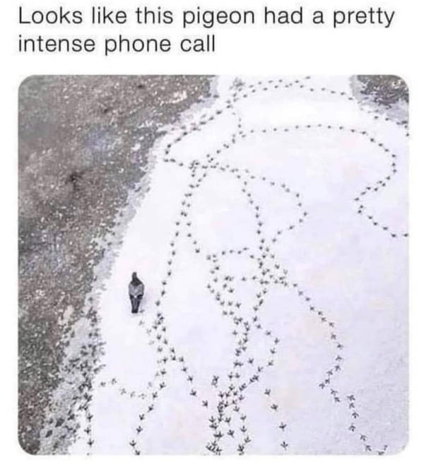 certified dank memes you need right now 38 pics 9.html - 38 HD Photos | Premium Gallery 2026