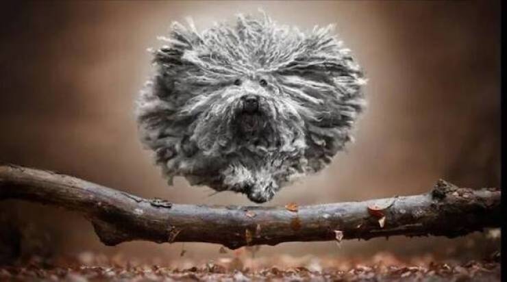 daily picdump 49 pics 3.html - 49 HD Photos | Premium Gallery 2026