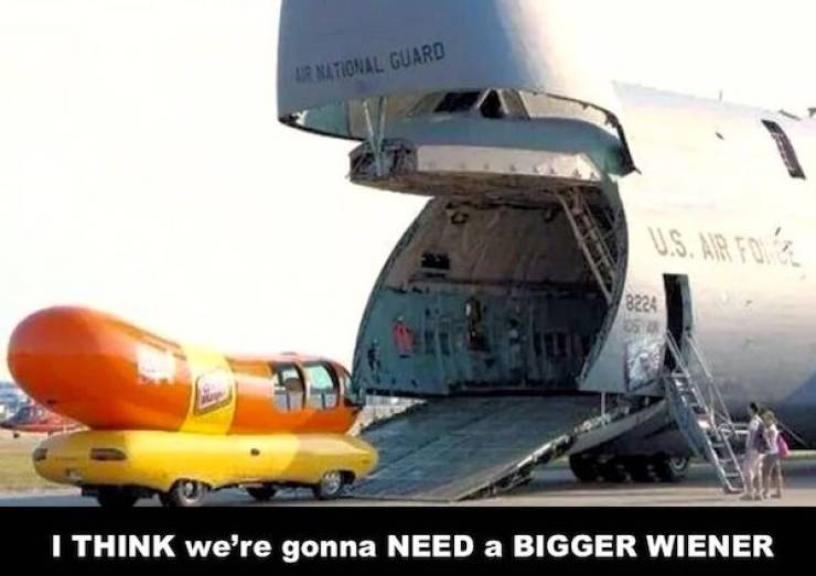 daily picdump 49 pics 3.html - 49 HD Photos | Premium Gallery 2026