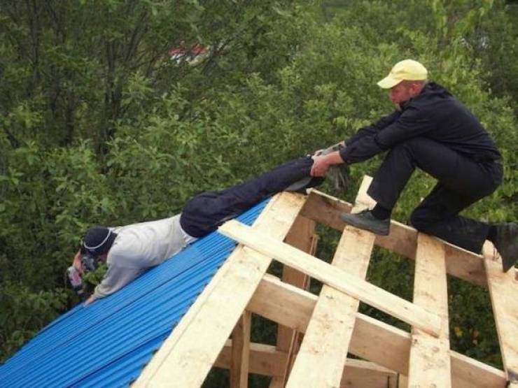 daily picdump 49 pics 3.html - 49 HD Photos | Premium Gallery 2026