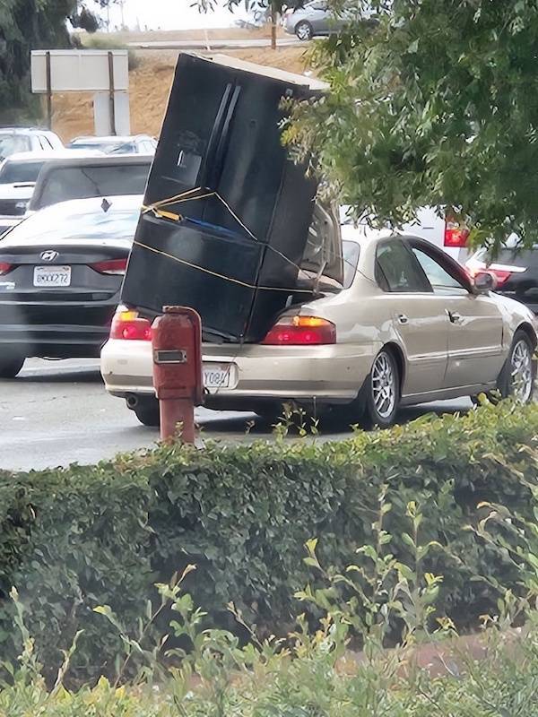 daily picdump 49 pics 3.html - 49 HD Photos | Premium Gallery 2026