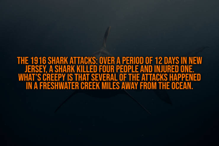 These Creepy Facts Will Haunt You