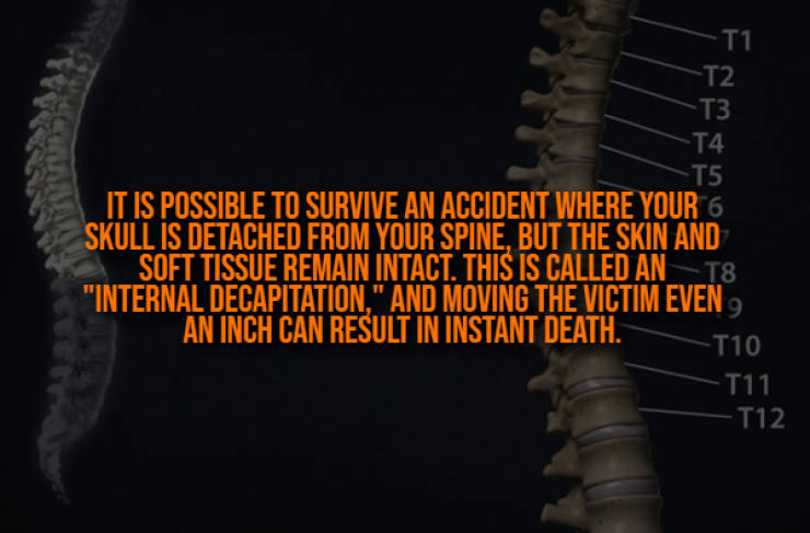 These Creepy Facts Will Haunt You