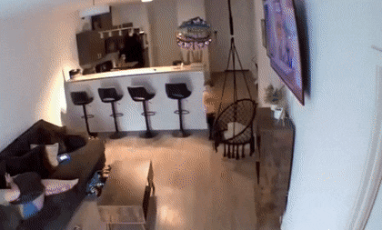 daily gifdump 41 gifs 2.html - 1 HD GIF | Premium Gallery 2026