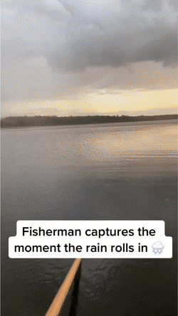 daily gifdump 41 gifs 2.html - 1 HD GIF | Premium Gallery 2026