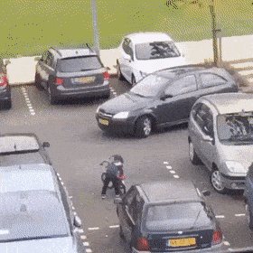 daily gifdump 41 gifs 2.html - 1 HD GIF | Premium Gallery 2026