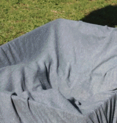 daily gifdump 41 gifs 2.html - 1 HD GIF | Premium Gallery 2026