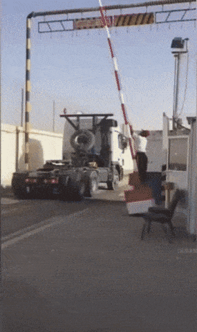 daily gifdump 41 gifs 2.html - 1 HD GIF | Premium Gallery 2026