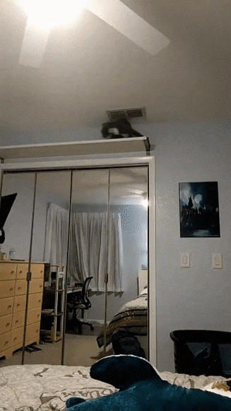 daily gifdump 41 gifs 2.html - 1 HD GIF | Premium Gallery 2026