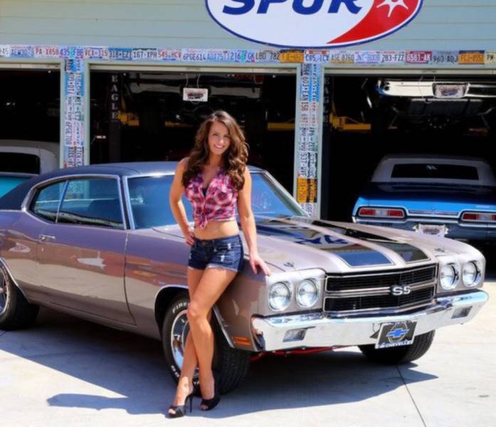 built to roar legendary muscle cars 88 pics 3.html - 88 HD Photos | Premium Gallery 2026